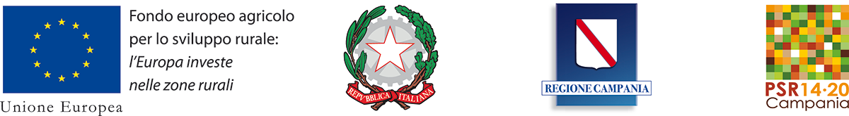 aziendaagricolamasinirotonda.it